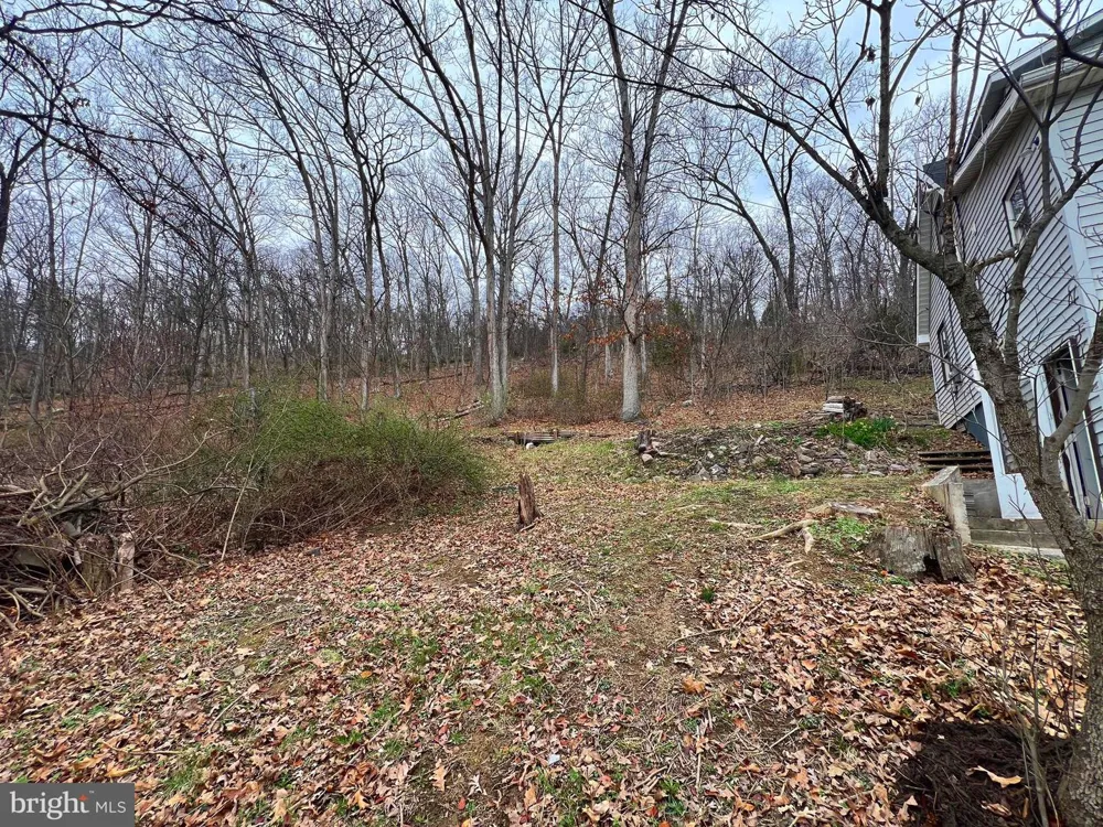 2932 KERNS SCHOOL ROAD Springfield, WV 26763