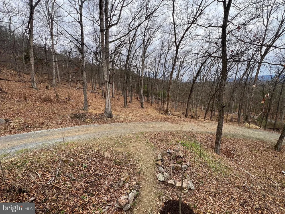 2932 KERNS SCHOOL ROAD Springfield, WV 26763