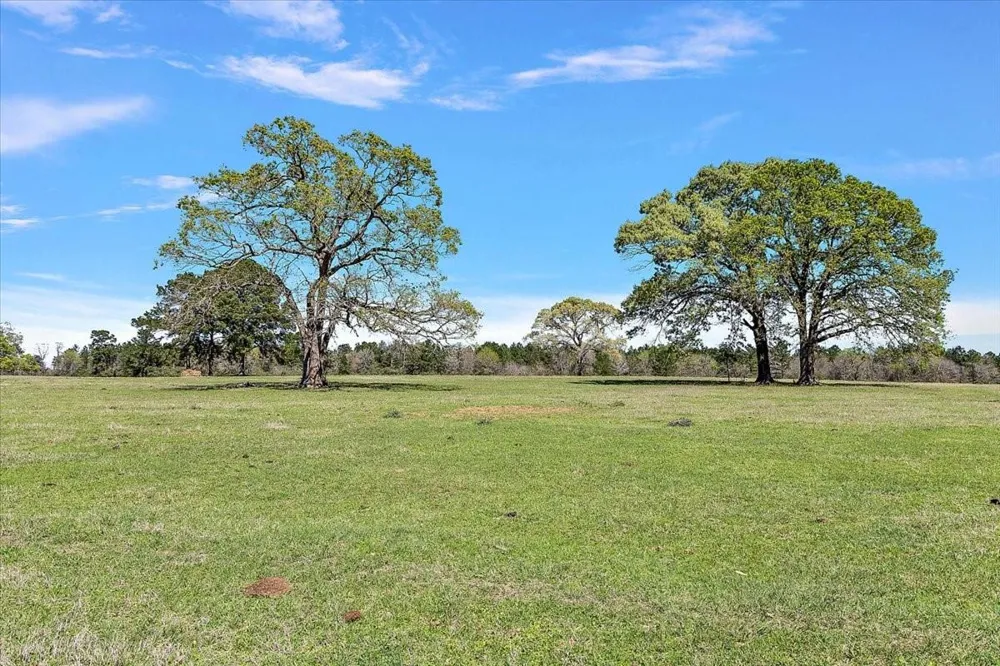 394 Fm 230 Trinity, TX 75862