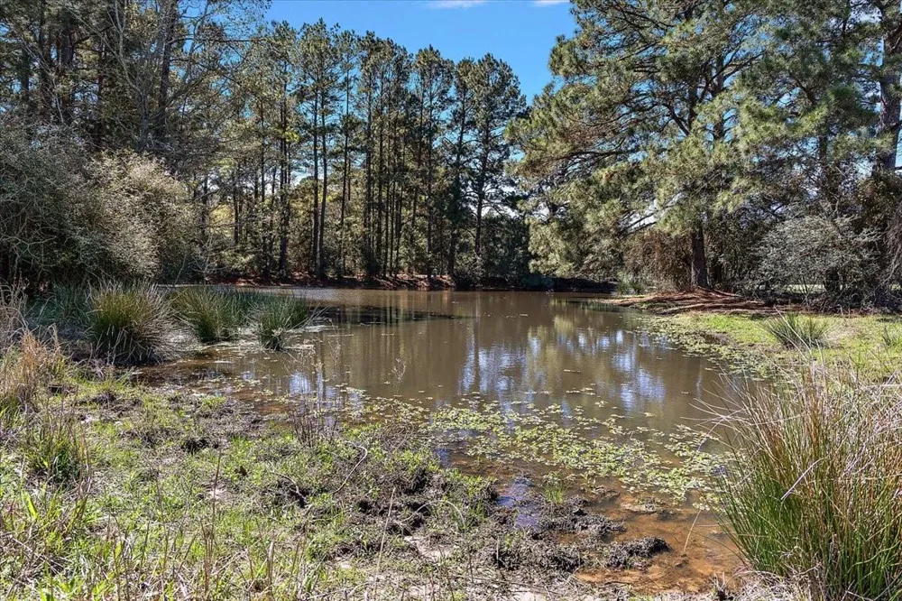 394 Fm 230 Trinity, TX 75862