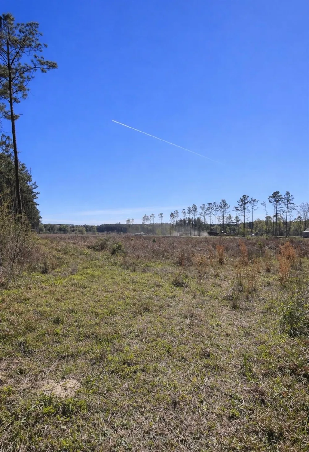 925 County Line Road Shepherd, TX 77371