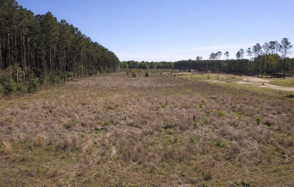 925 County Line Road Shepherd, TX 77371