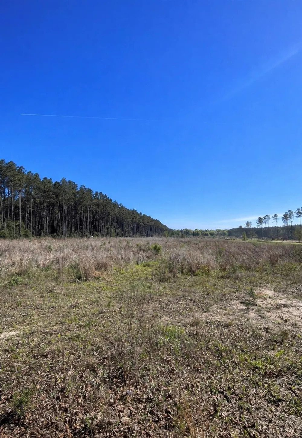 925 County Line Road Shepherd, TX 77371