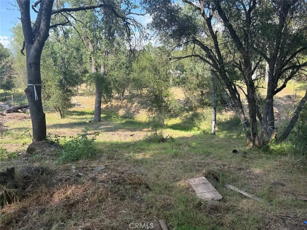 Chickasaw Road Coarsegold, CA 93614