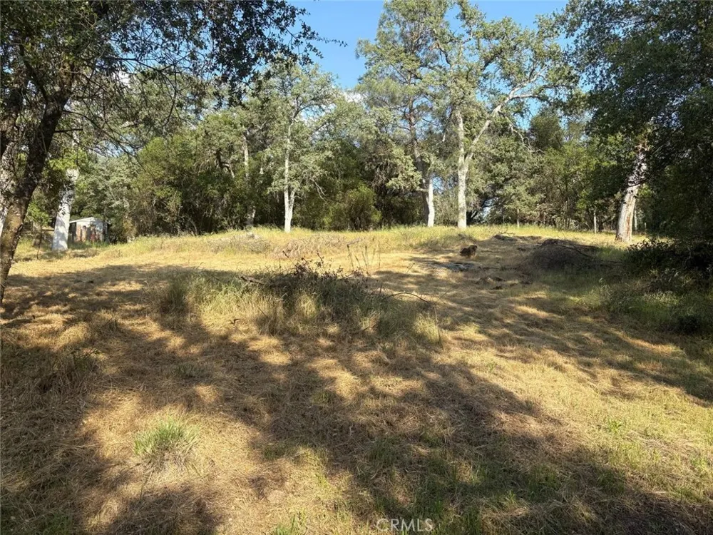 Chickasaw Road Coarsegold, CA 93614