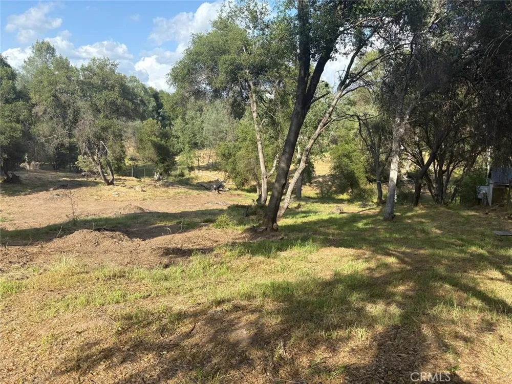 Chickasaw Road Coarsegold, CA 93614