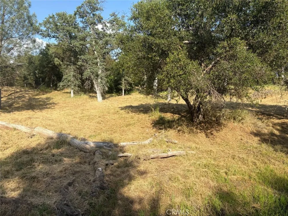 Chickasaw Road Coarsegold, CA 93614
