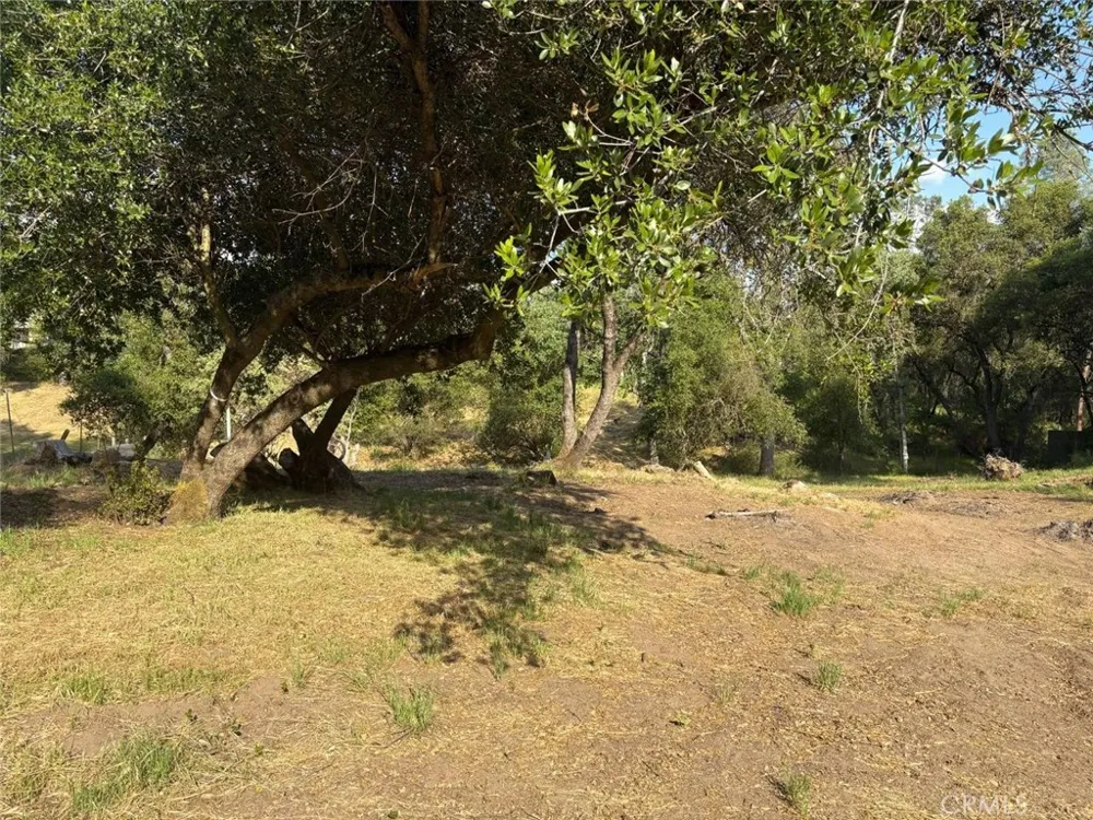 Chickasaw Road Coarsegold, CA 93614