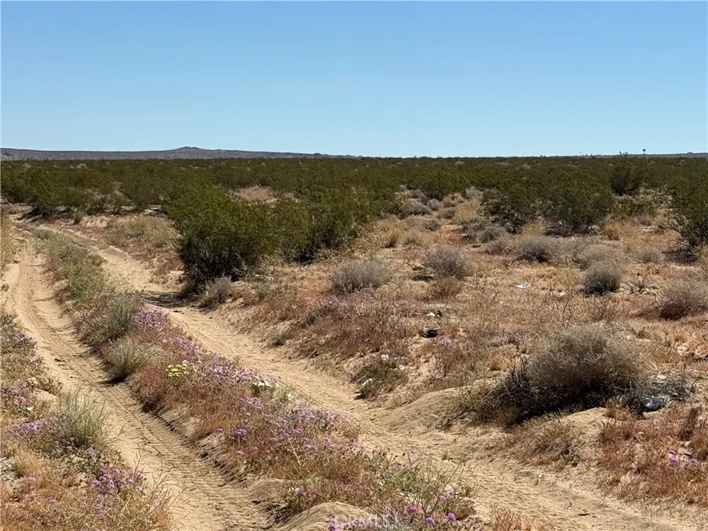 Old Woman Springs Road Johnson Valley, CA 92285