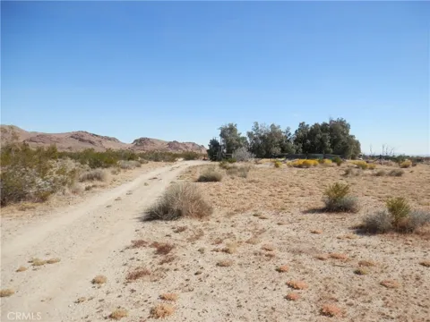 Dawn Road