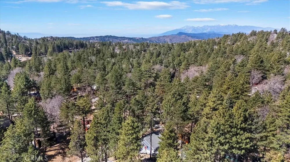 33338 Wild Rose Green Valley Lake, CA 92341