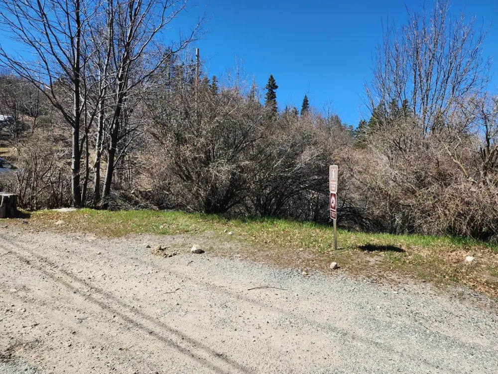 Elder Drive Lake Arrowhead, CA 92321