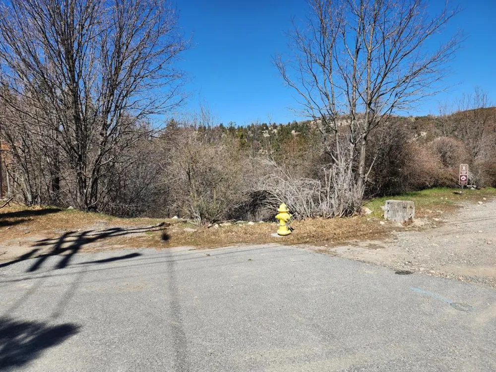 Elder Drive Lake Arrowhead, CA 92321