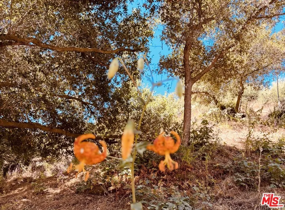 Red Rock Road Topanga, CA 90290