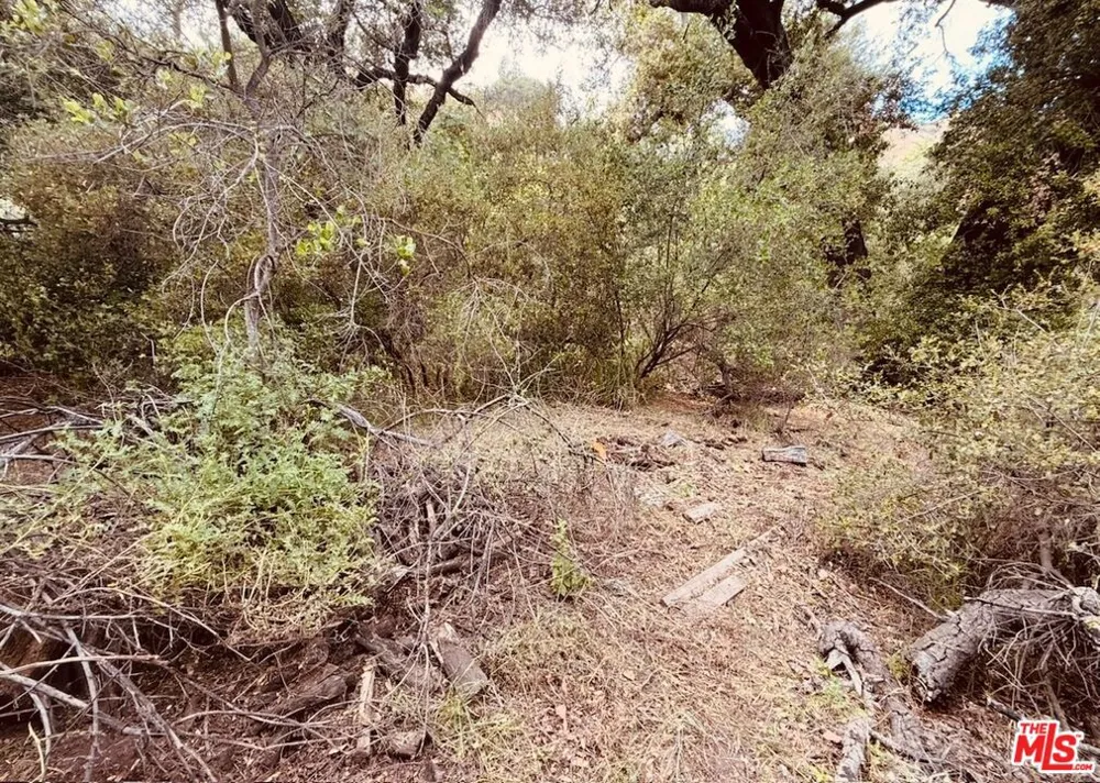 Red Rock Road Topanga, CA 90290