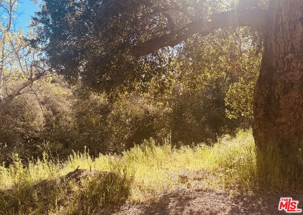 Red Rock Road Topanga, CA 90290
