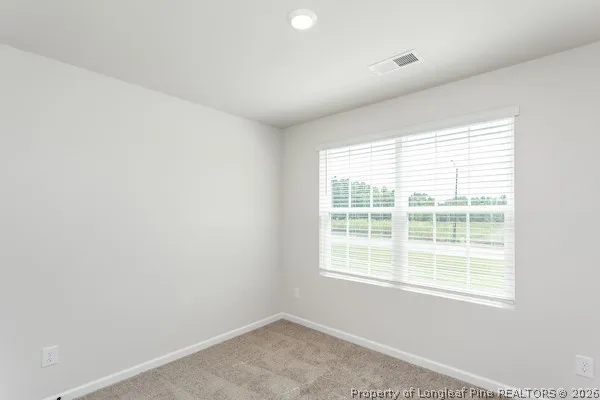 63 Laforce Lane Broadway, NC 27505