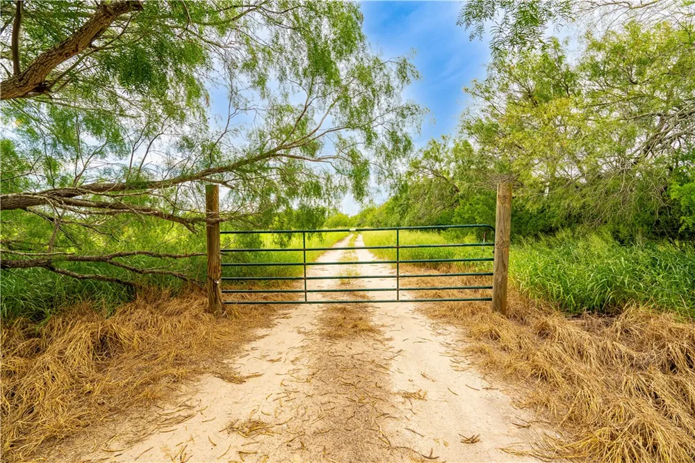 229 FM 628 Riviera, TX 78379