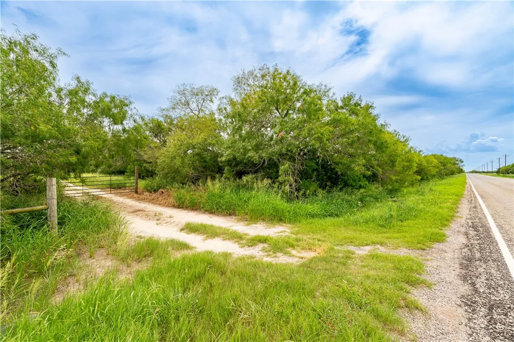 229 FM 628 Riviera, TX 78379