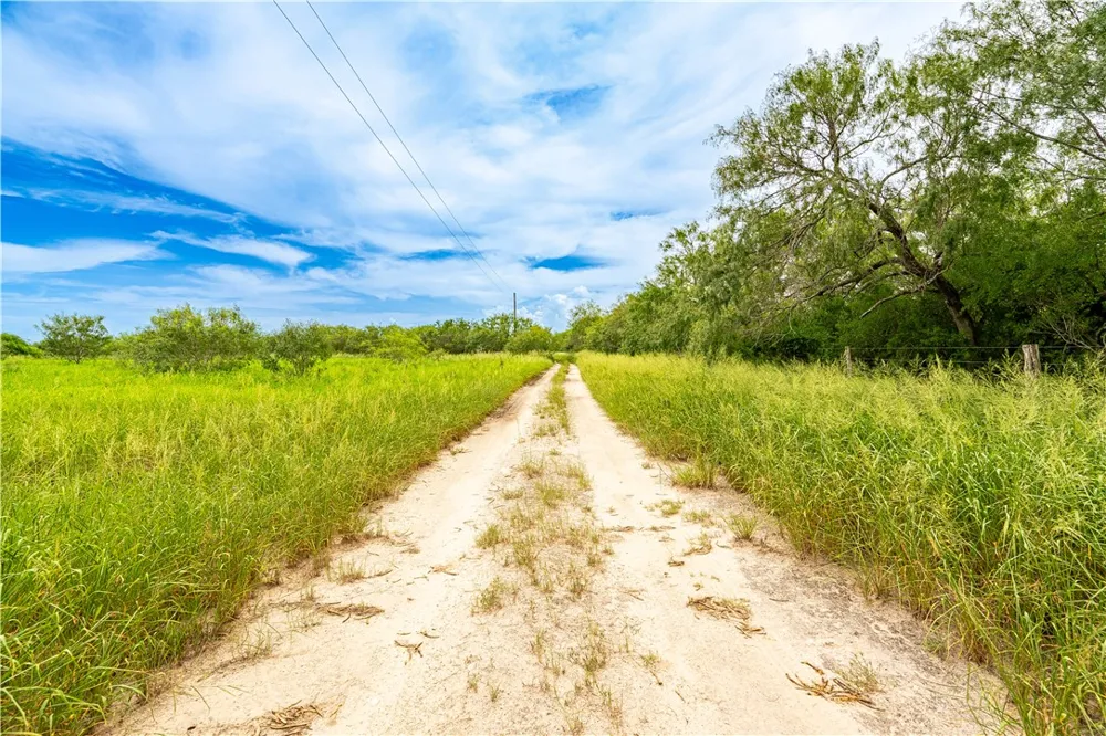 229 FM 628 Riviera, TX 78379