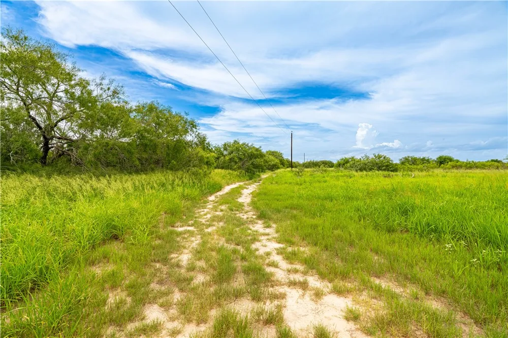 229 FM 628 Riviera, TX 78379
