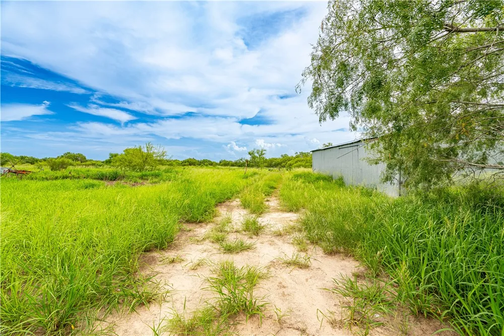 229 FM 628 Riviera, TX 78379