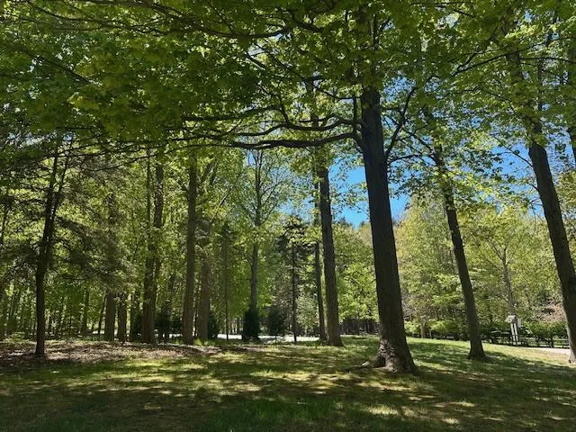 2095 Lakeshore Drive Fennville, MI 49408