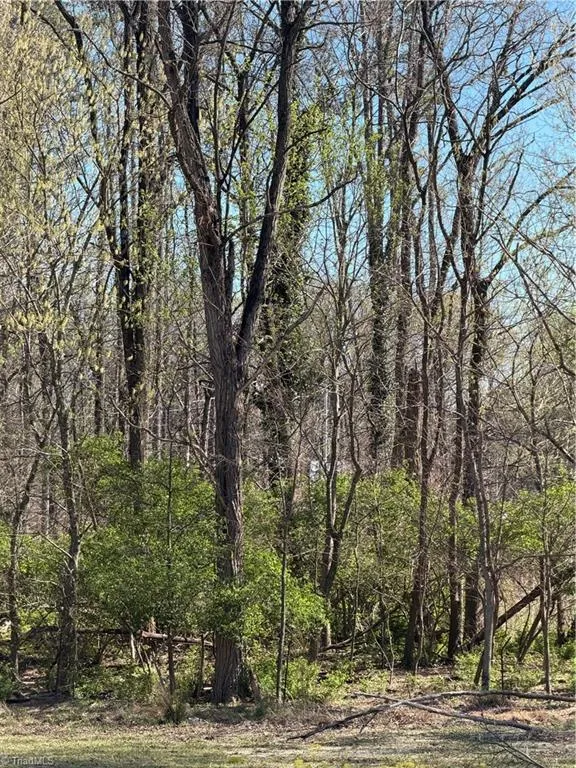 0 Pine Woods Church Road Thomasville, NC 27360