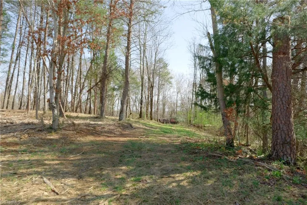 0 Seven Island Road Danbury, NC 27016