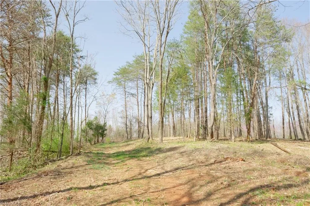 0 Seven Island Road Danbury, NC 27016