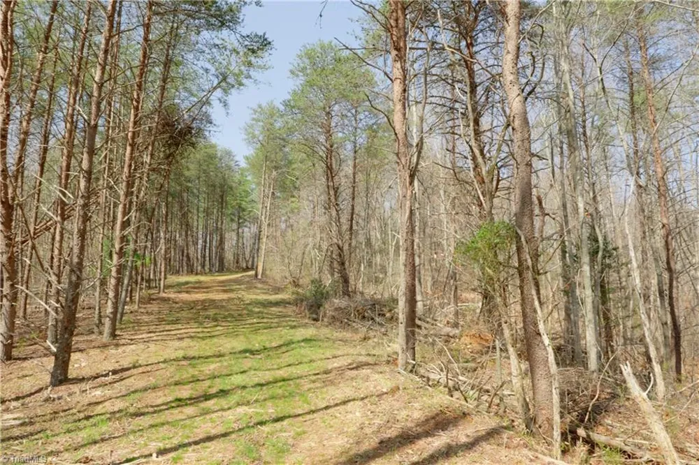 0 Seven Island Road Danbury, NC 27016