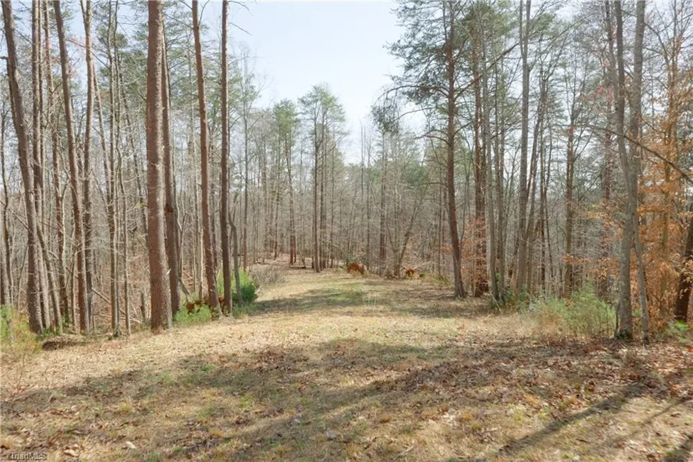 0 Seven Island Road Danbury, NC 27016