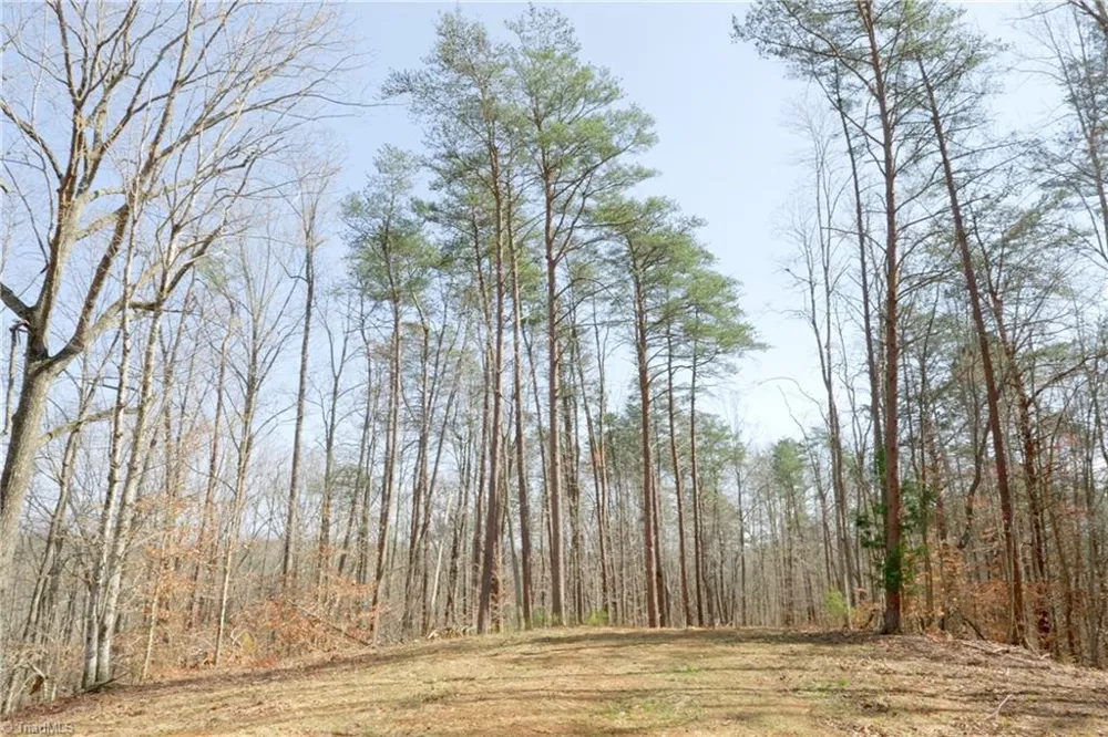 0 Seven Island Road Danbury, NC 27016