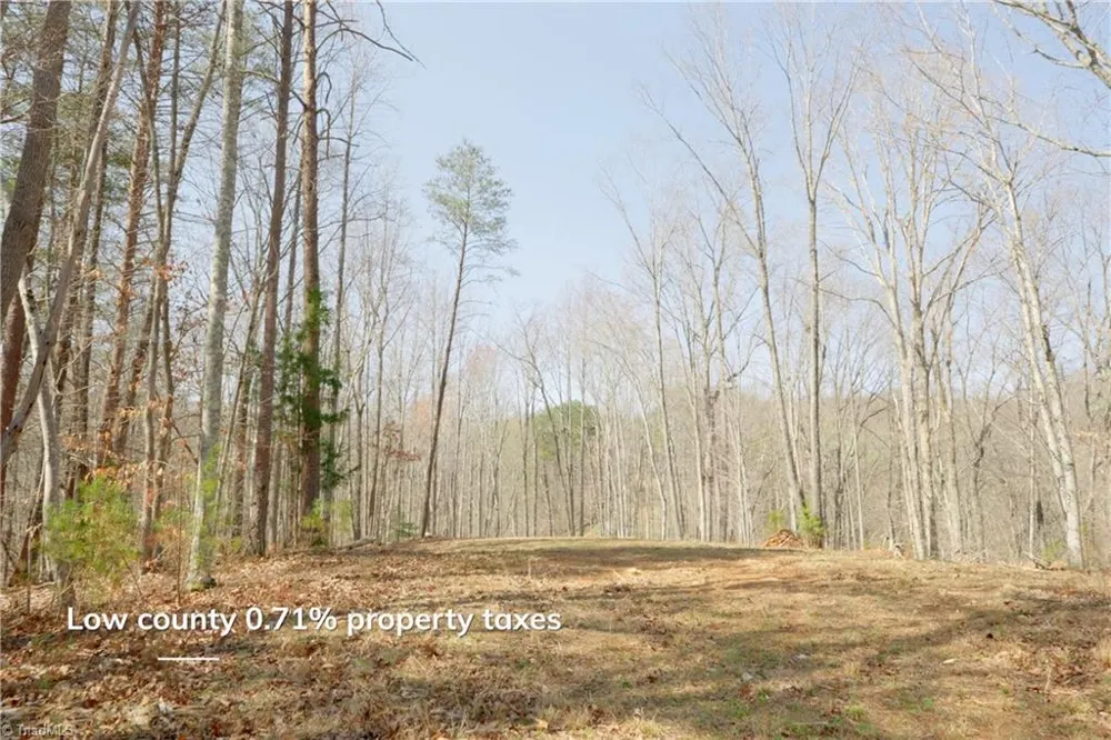 0 Seven Island Road Danbury, NC 27016