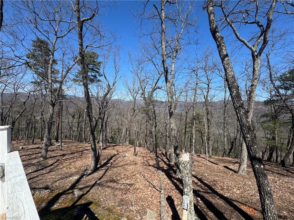 438 Dogwood Circle Traphill, NC 28685