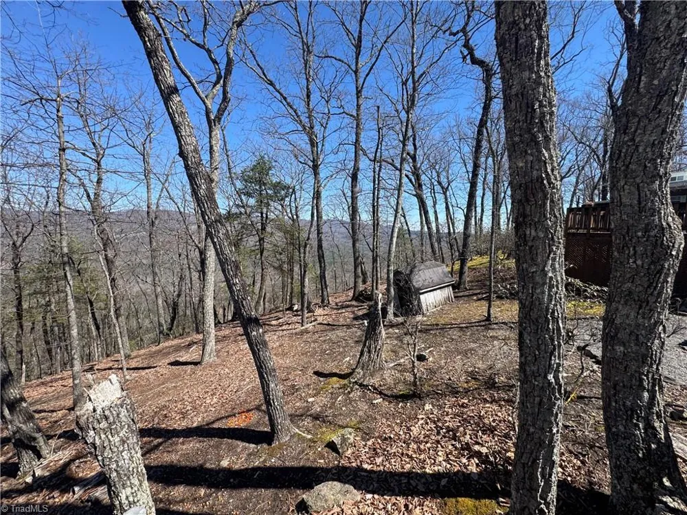 438 Dogwood Circle Traphill, NC 28685