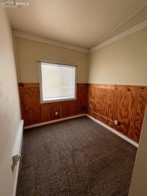 217 W Masonic Avenue Cripple Creek, CO 80813