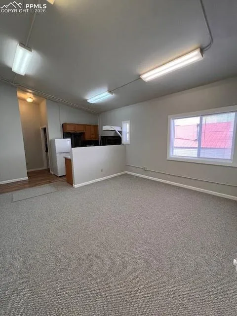 217 W Masonic Avenue Cripple Creek, CO 80813