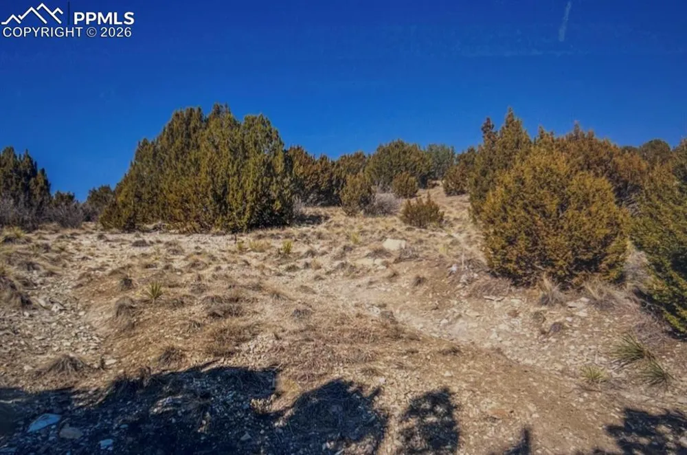 LOT 73 Cedar Grove Road Beulah, CO 81023