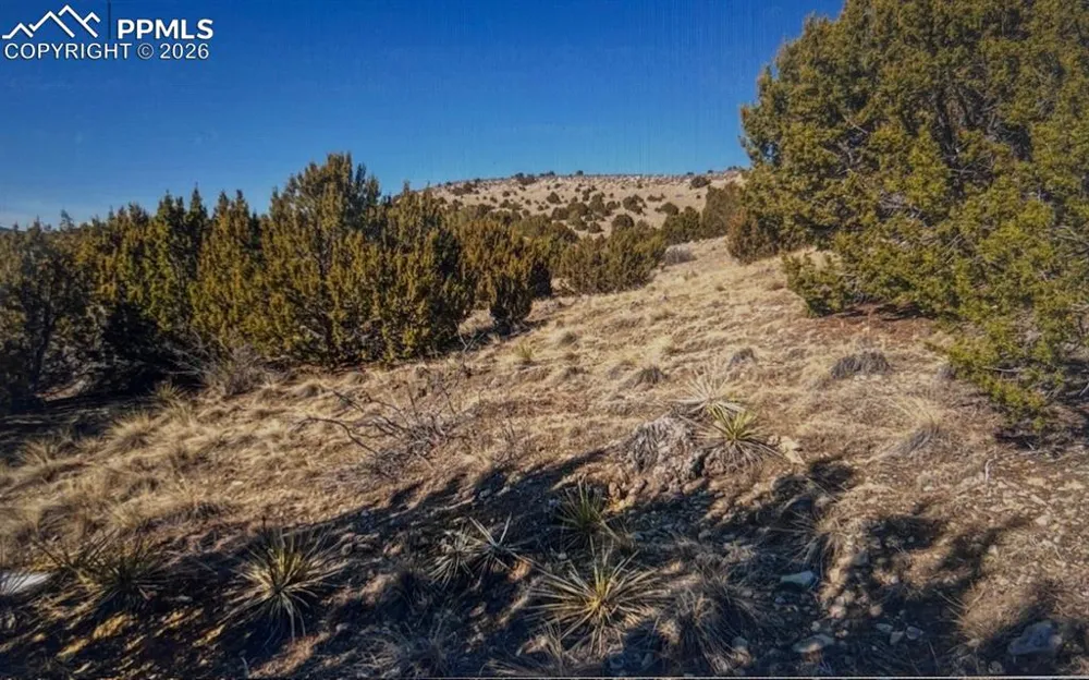 LOT 73 Cedar Grove Road Beulah, CO 81023