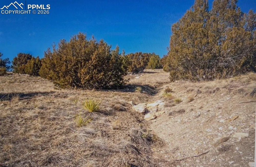 LOT 73 Cedar Grove Road Beulah, CO 81023