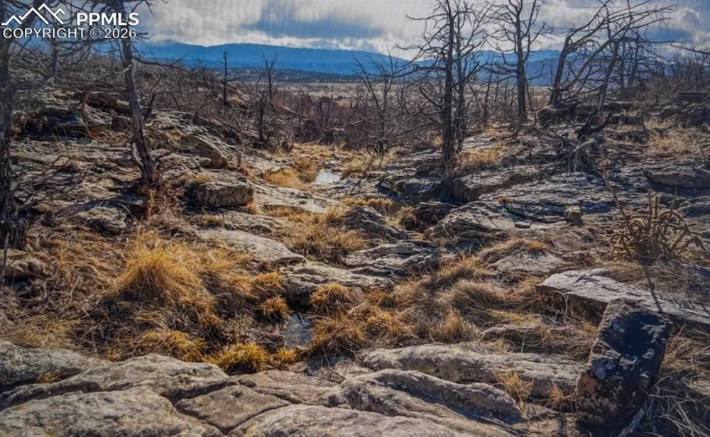 LOT 73 Cedar Grove Road Beulah, CO 81023
