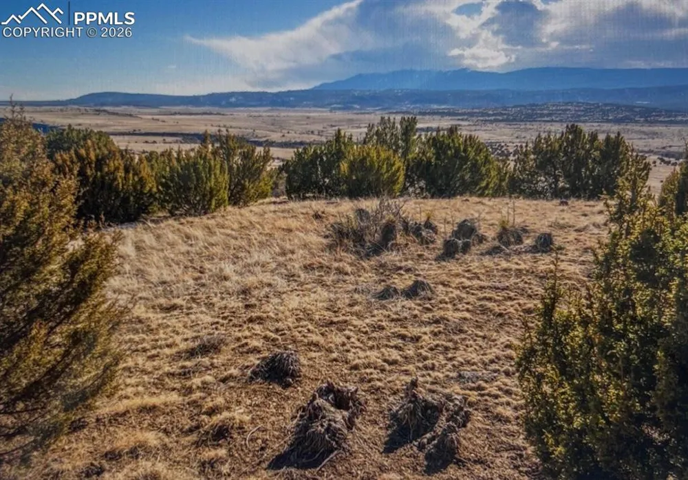 LOT 73 Cedar Grove Road Beulah, CO 81023