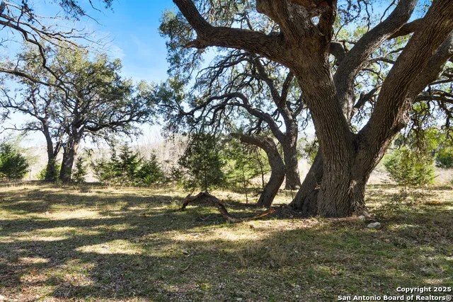 62 Turkey Trot Uvalde, TX 78801