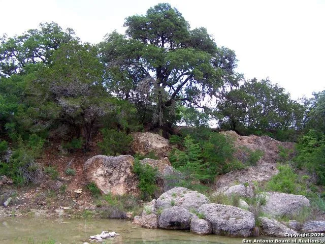62 Turkey Trot Uvalde, TX 78801