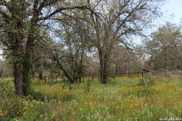 24222 Mathis Elmendorf, TX 78112