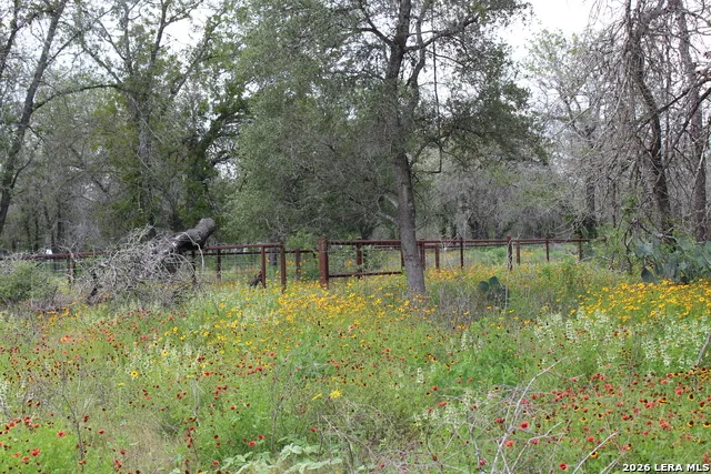 24222 Mathis Elmendorf, TX 78112