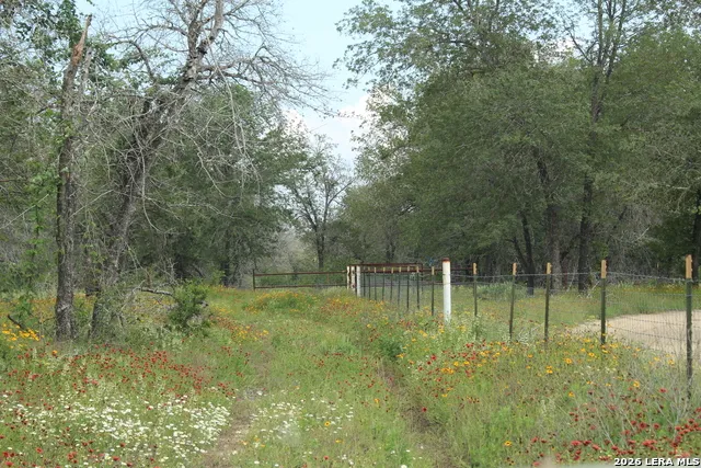 24222 Mathis Elmendorf, TX 78112