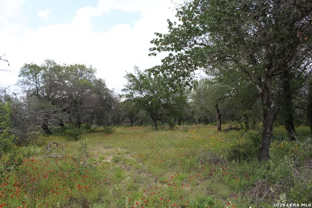 24222 Mathis Elmendorf, TX 78112