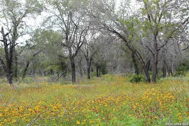 24222 Mathis Elmendorf, TX 78112